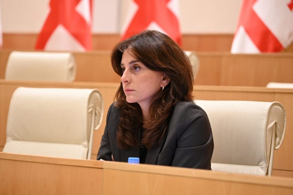მაია ბითაძე - სამწუხაროა, რომ ლიეტუვის საგარეო საქმეთა მინისტრი არ ზრუნავს საკუთარ ქვეყანაზე და საქართველოზე სასაუბროდ იცლის, დროა, გაიაზრონ, რომ „ქართული ოცნება“ ხალხის არჩეული მთავრობაა