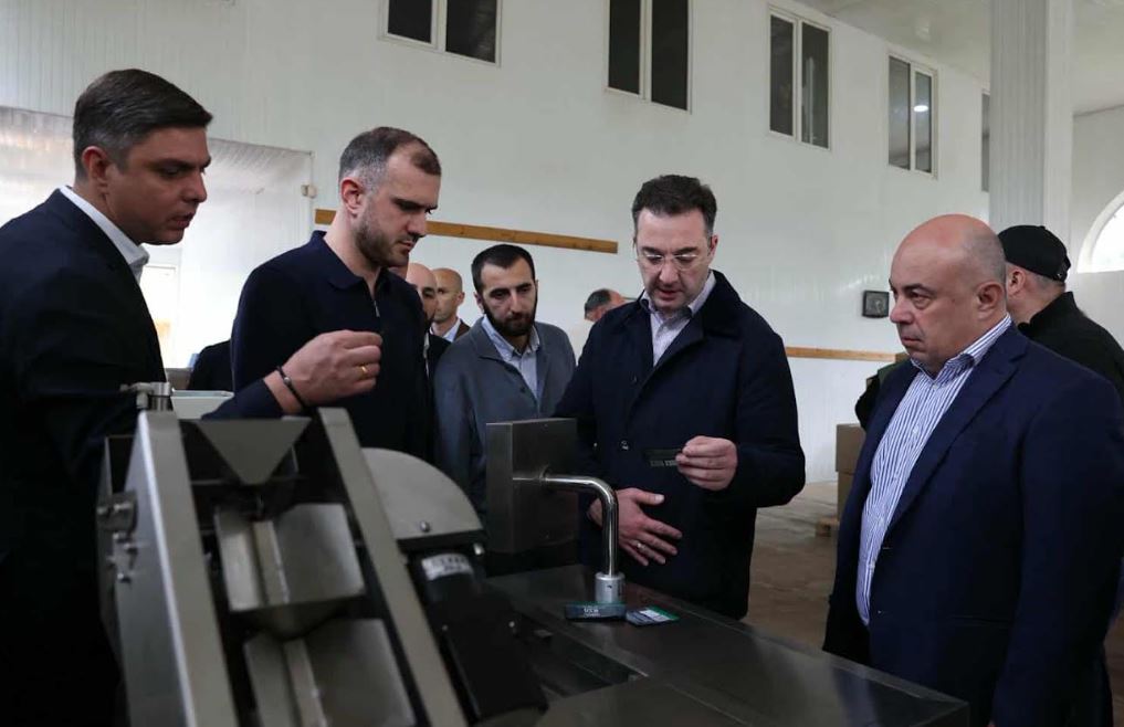 გურიაში სახელმწიფო მხარდაჭერით შექმნილი საწარმო 20 სახეობის ჩაის აწარმოებს