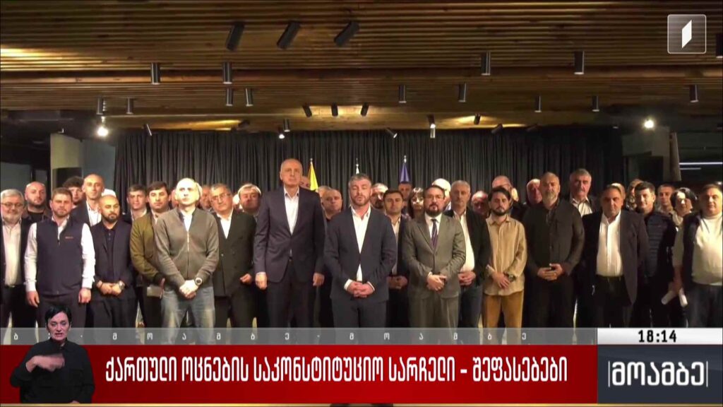 „ქართული ოცნების“ საკონსტიტუციო სარჩელი – შეფასებები