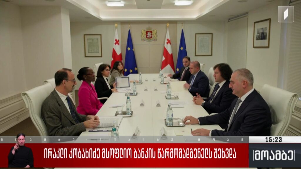 ირაკლი კობახიძე მსოფლიო ბანკის წარმომადგენელს შეხვდა