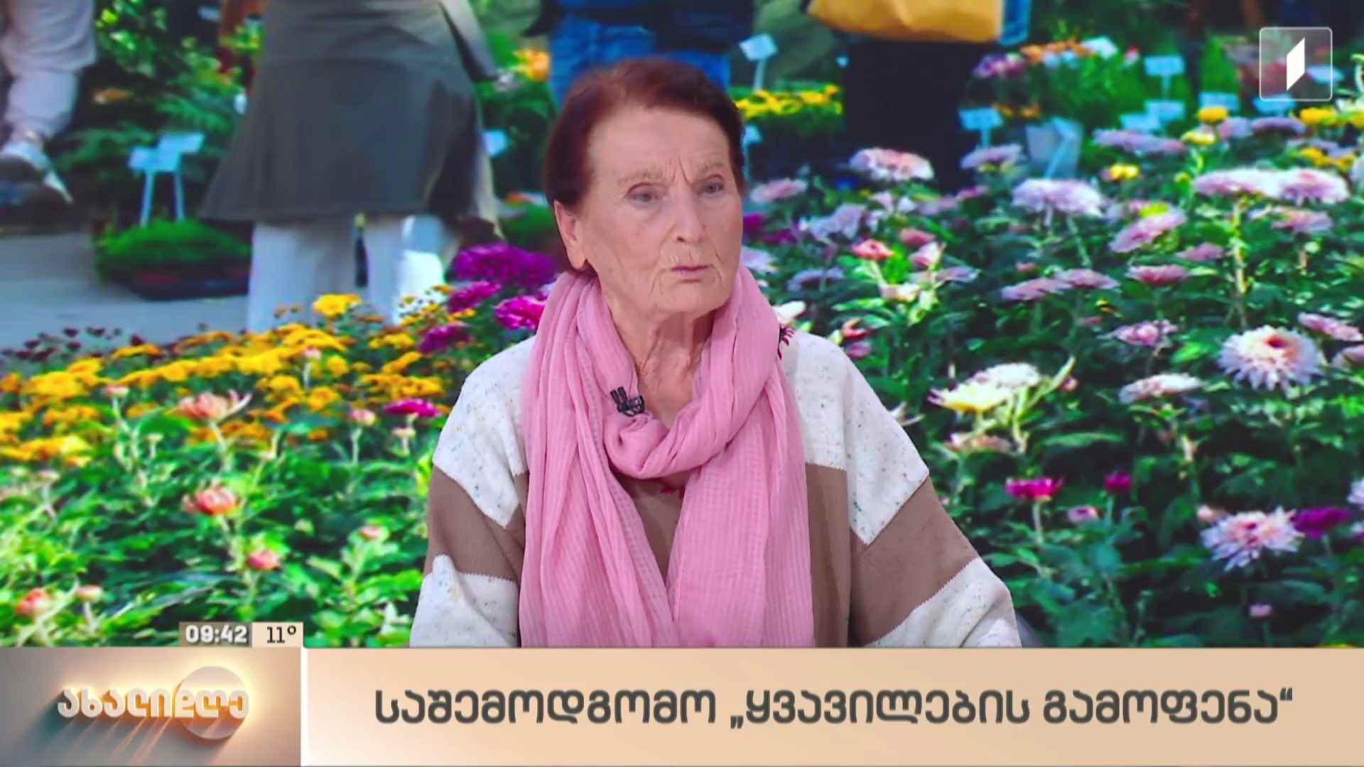 საშემოდგომო ყვავილების გამოფენა