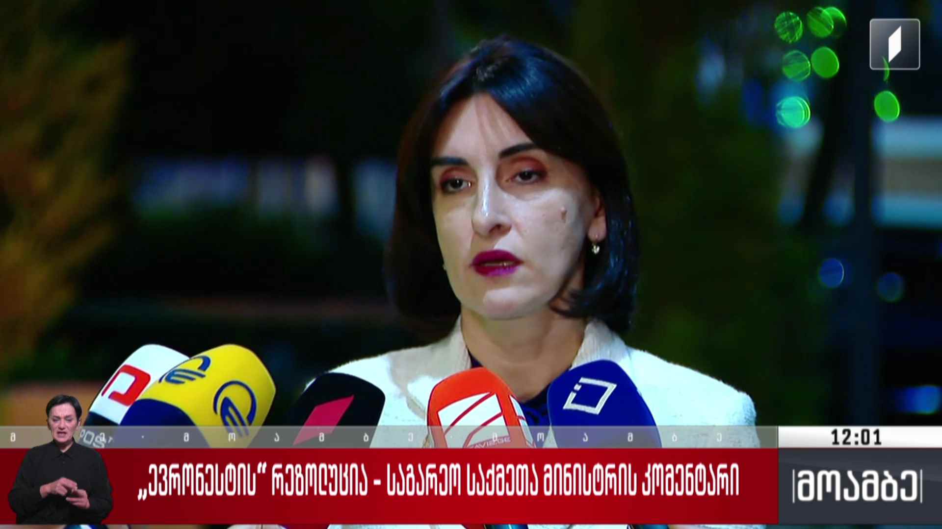 „ევრონესტის“ რეზოლუცია - საგარეო საქმეთა მინისტრის კომენტარი