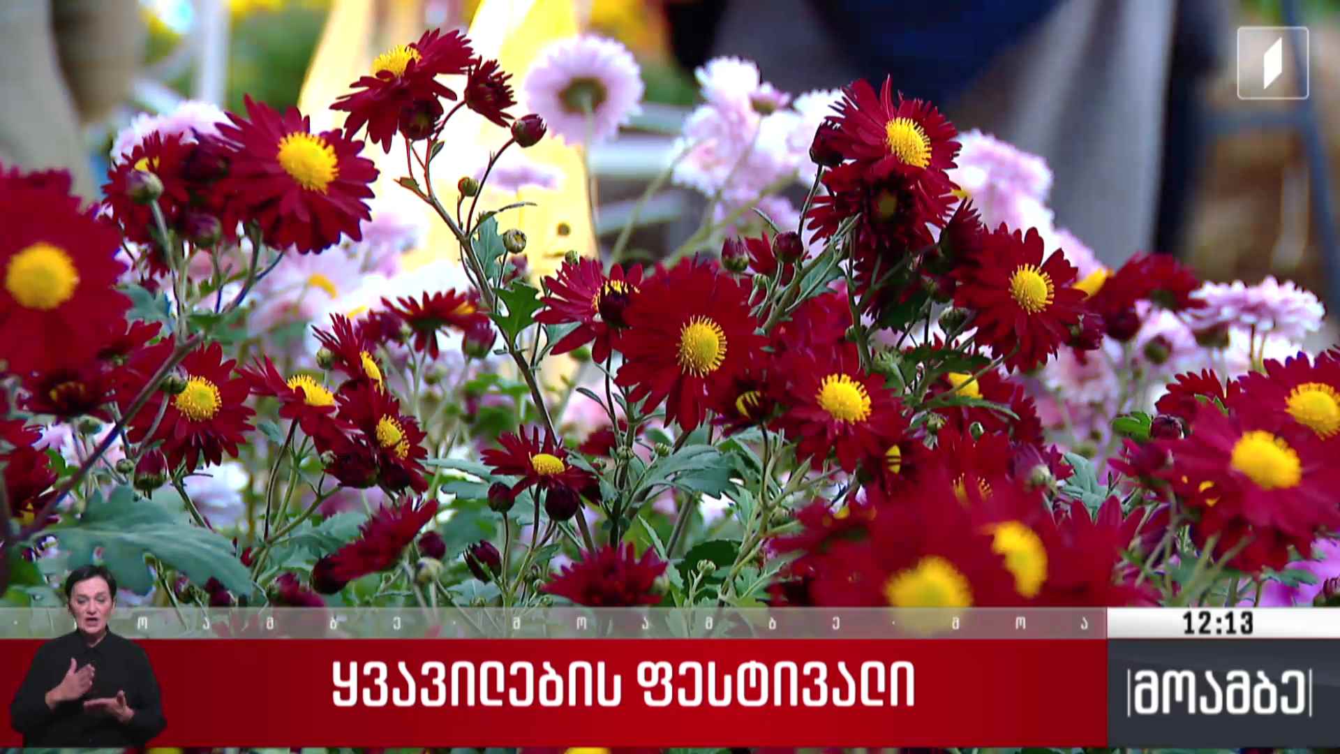 ყვავილების ფესტივალი ბოტანიკურ ბაღში