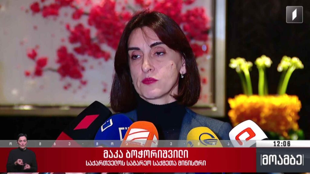 ევროკავშირის გაფართოების ანგარიში – საგარეო საქმეთა მინისტრის კომენტარი