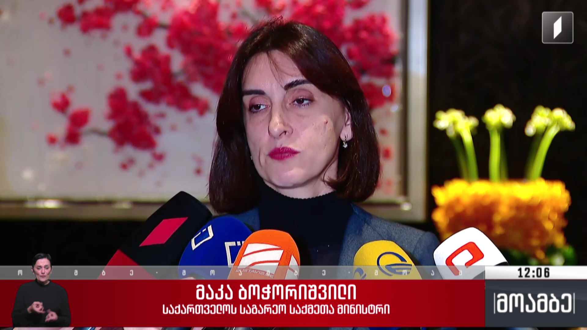 ევროკავშირის გაფართოების ანგარიში - საგარეო საქმეთა მინისტრის კომენტარი