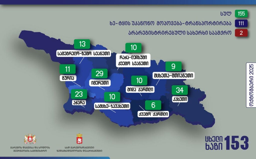 გარემოსდაცვითი ზედამხედველობის დეპარტამენტმა ოქტომბერში უკანონო ტყითსარგებლობის 155 ფაქტი გამოავლინა