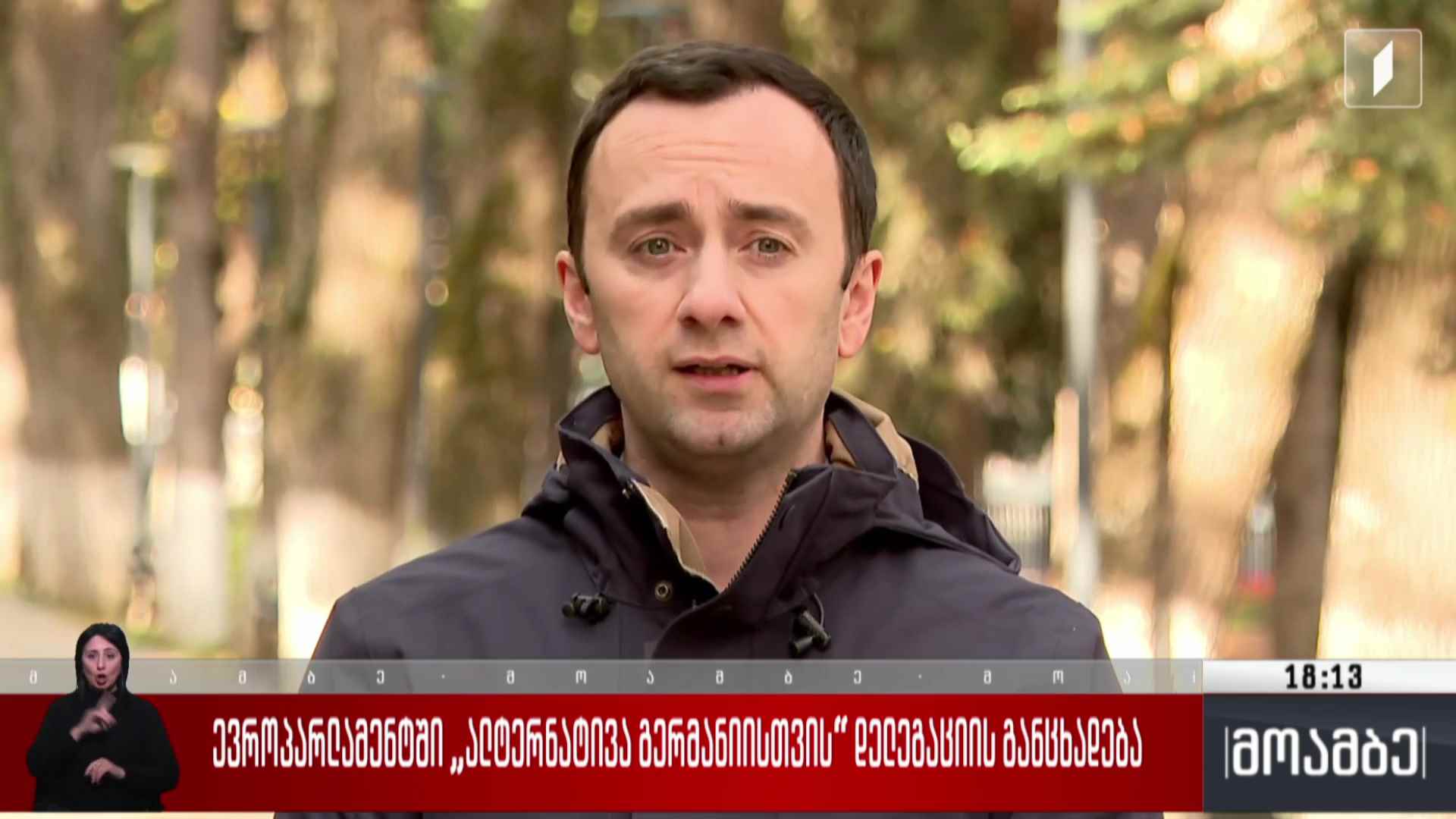 ევროპარლამენტში „ალტერნატივა გერმანიისთვის“ დელეგაციის განცხადება