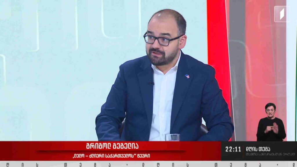 ინტერვიუ გრიგოლ გეგელიასთან #დღისთემა