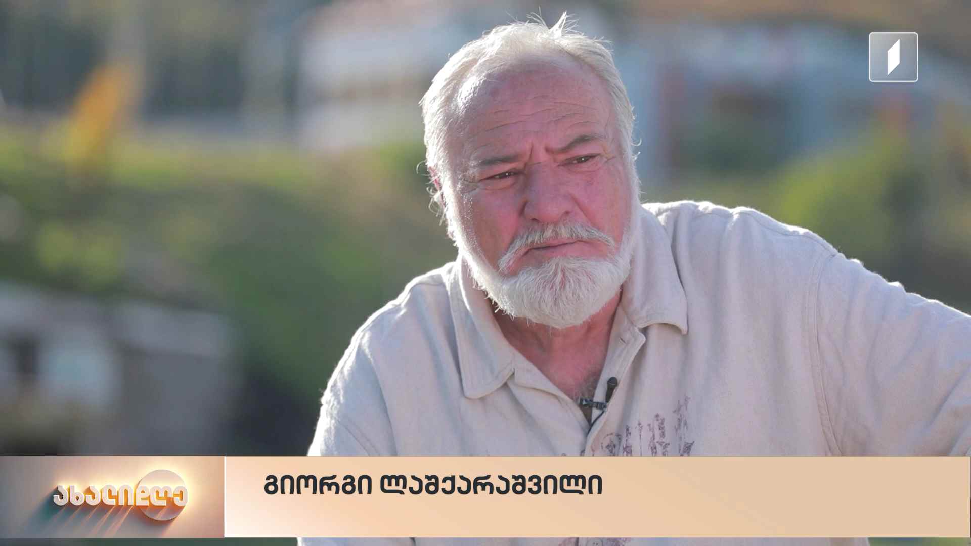 თავისუფლება მეგაპოლისის მიღმა - როგორ განავითარა მეურნეობა გიორგი ლაშქარაშვილმა სოფელ თხინვალაში