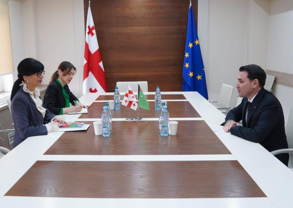 თეა ახვლედიანი საქართველოში თურქმენეთის ელჩს, დოვლეტმირატ სეიტმამედოვს შეხვდა