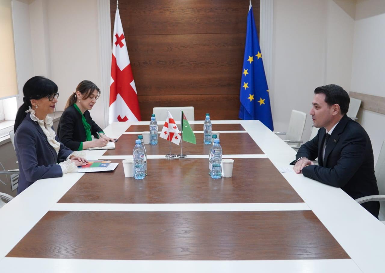 თეა ახვლედიანი საქართველოში თურქმენეთის ელჩს, დოვლეტმირატ სეიტმამედოვს შეხვდა