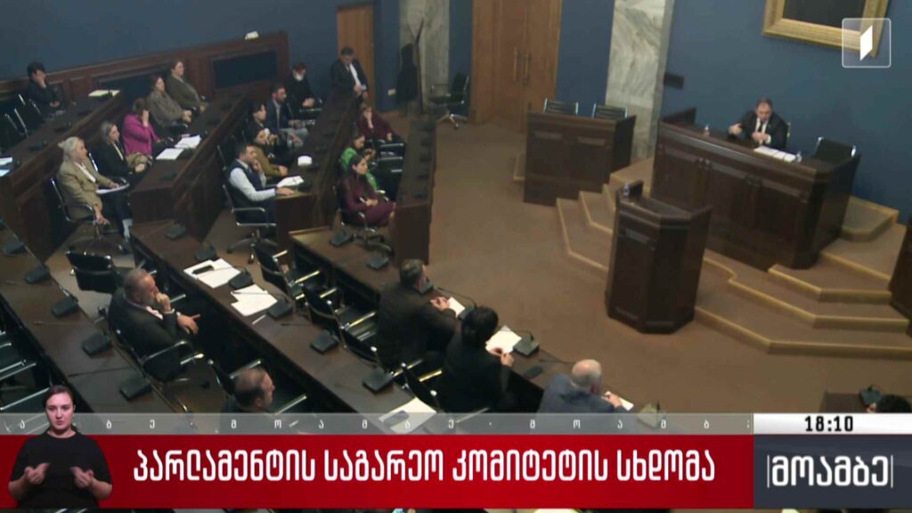 პარლამენტის საგარეო კომიტეტის სხდომა