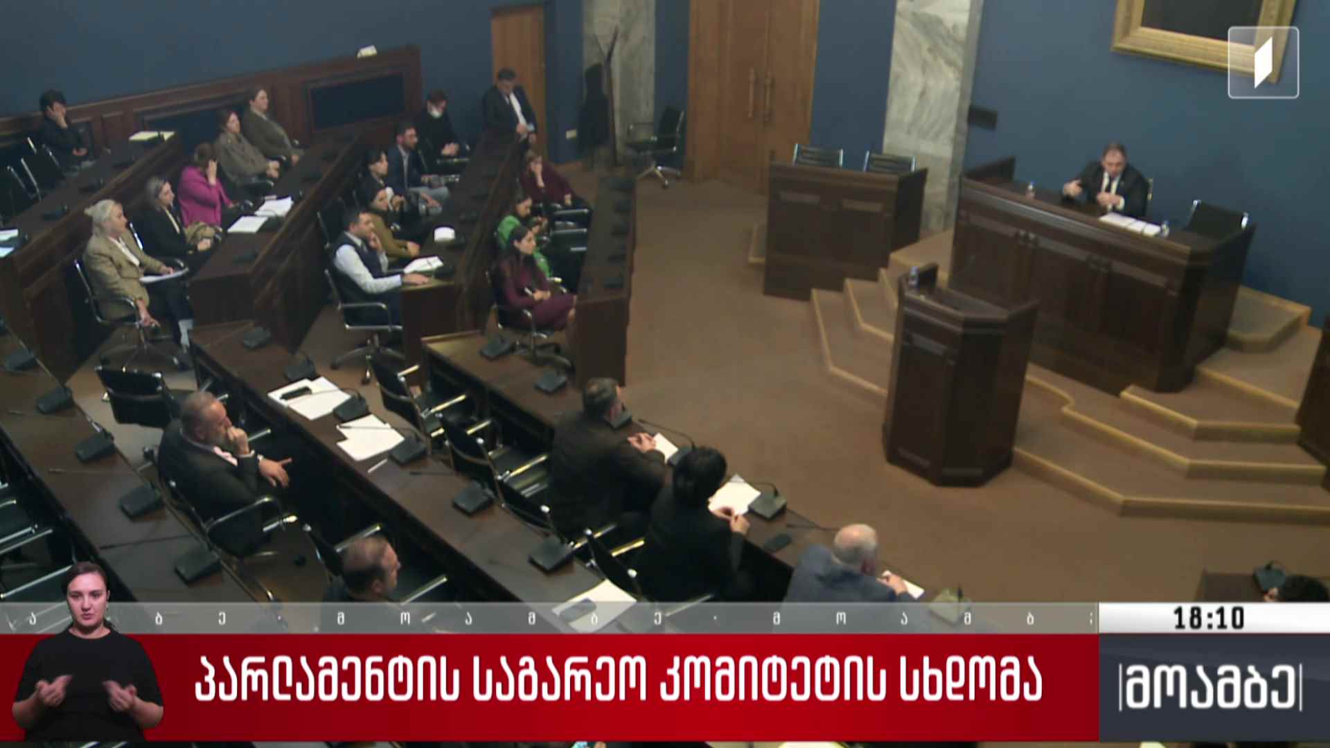 პარლამენტის საგარეო კომიტეტის სხდომა
