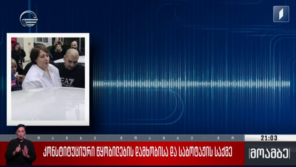 კონსტიტუციური წყობილების დამხობისა და საბოტაჟის საქმე