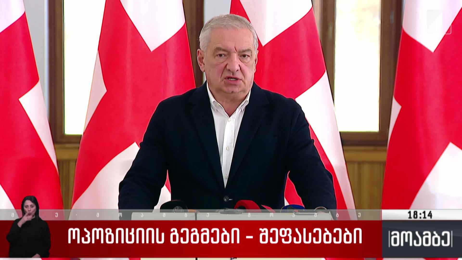 ოპოზიციის გეგმები - შეფასებები