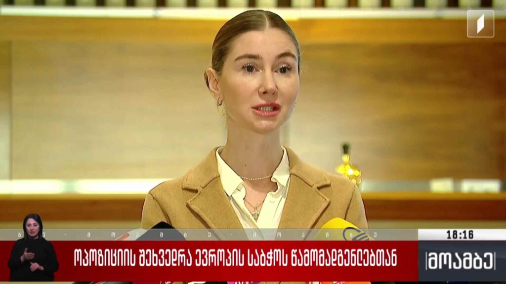 ოპოზიციის შეხვედრა ევროპის საბჭოს წარმომადგენლებთან