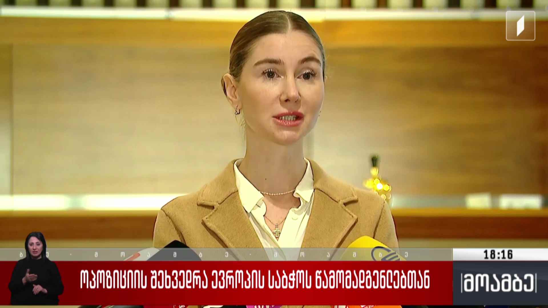 ოპოზიციის შეხვედრა ევროპის საბჭოს წარმომადგენლებთან