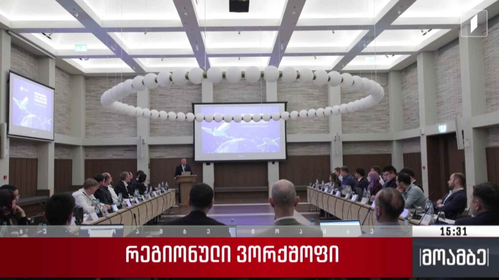 რეგიონული ვორქშოფი
