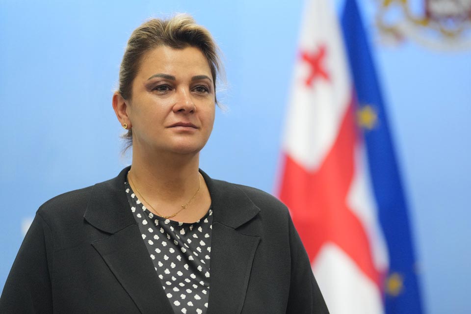 ნინო ენუქიძე - სახელმწიფო ქონების პირდაპირი მიყიდვის ფორმით პრივატიზება ან სახელმწიფო ქონების გაცვლა მხოლოდ წინასწარ განსაზღვრული პირობებით იქნება შესაძლებელი