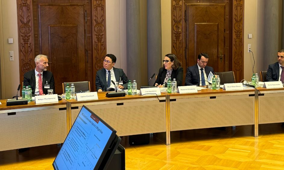 ეკატერინე მიქაბაძემ საერთაშორისო სავალუტო ფონდის მიერ ორგანიზებულ მაღალი დონის რეგიონულ ღონისძიებაში მიიღო მონაწილეობა