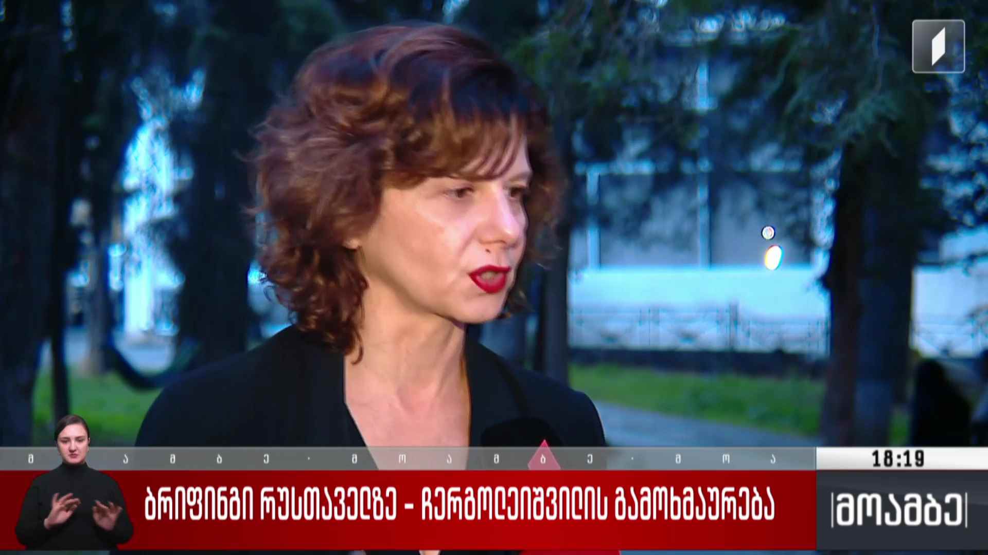 ბრიფინგი რუსთაველზე - ჩერგოლეიშვილის გამოხმაურება