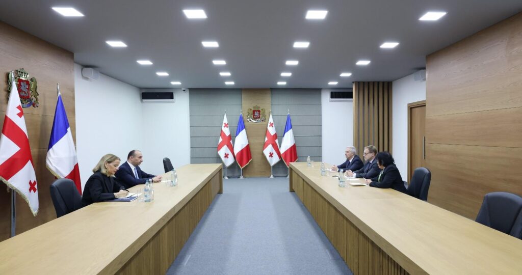 გეკა გელაძე საქართველოში საფრანგეთის ელჩს, ოლივიე კურტოს შეხვდა