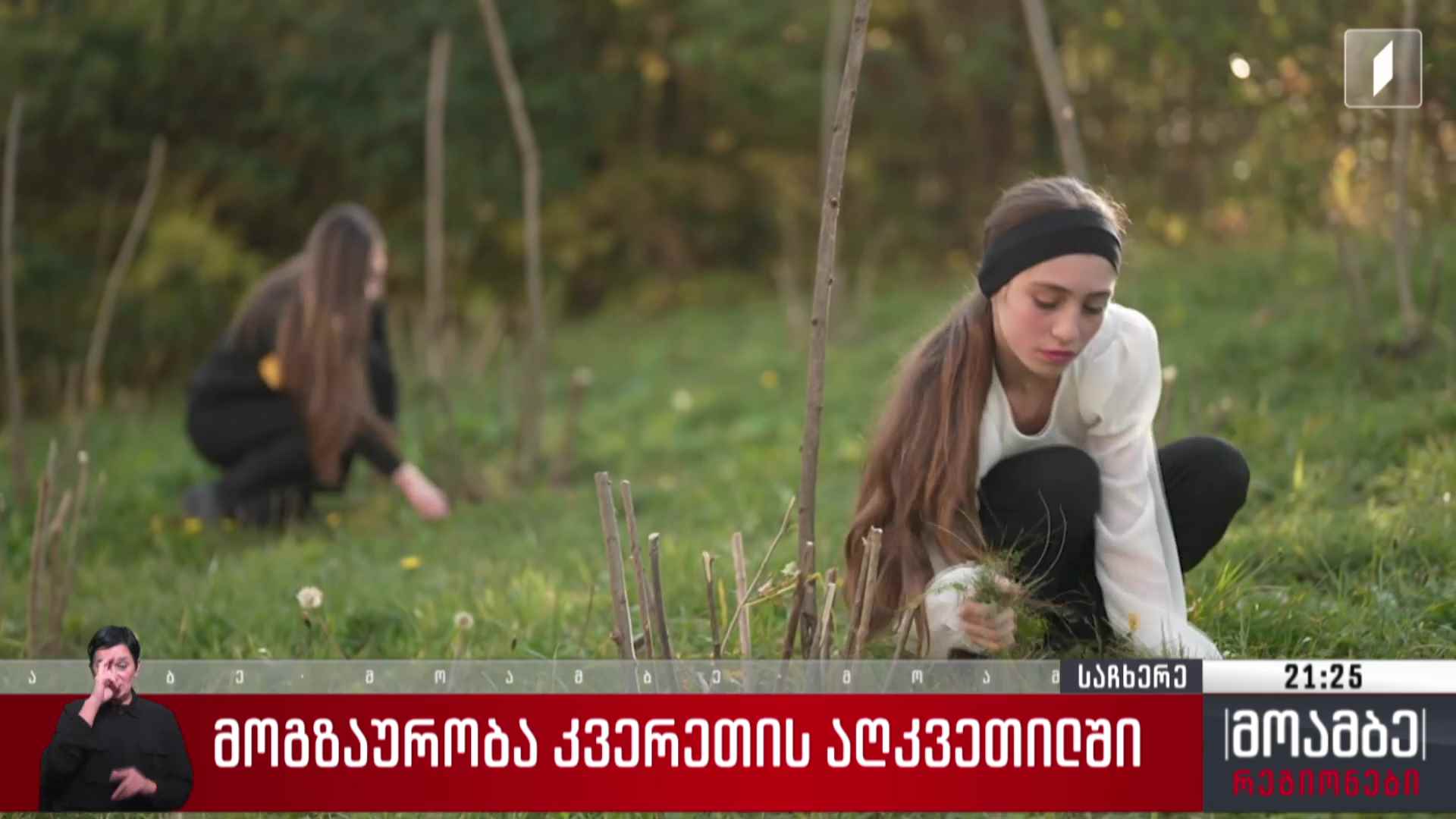 მოგზაურობა კვერეთის აღკვეთილში