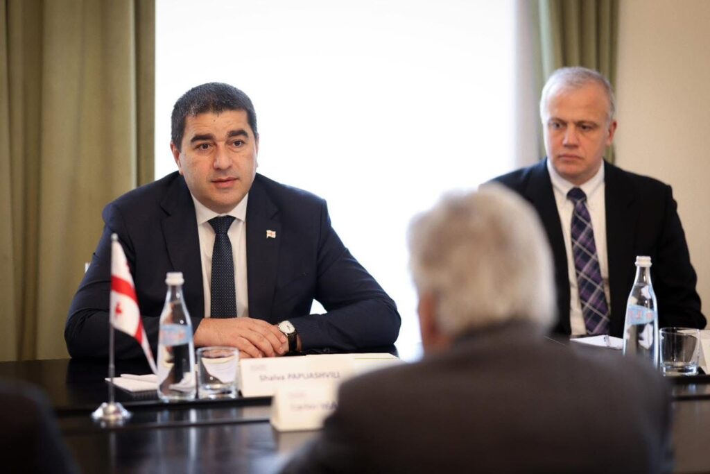 შალვა პაპუაშვილი საქართველოში ბრაზილიის ახლად დანიშნულ ელჩს შეხვდა
