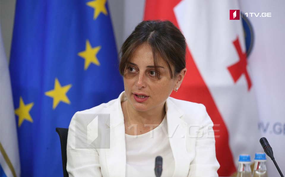 მაია ბითაძე - გიგი წერეთელი და თინა ბოკუჩავა, ორი დღეა, ეუთო-ს კონფერენციის პარალელურად, დერეფნებში დადიან და მთელ საქართველოს საკუთარ აზრებს ეუთო-ს გადაწყვეტილებად ასაღებენ