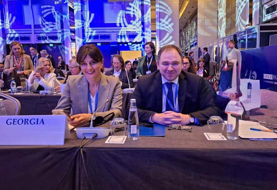 მაია ბითაძემ და ნიკოლოზ სამხარაძემ ეუთო-ს საპარლამენტო ასამბლეის 23-ე შემოდგომის სესიაში მიიღეს მონაწილეობა