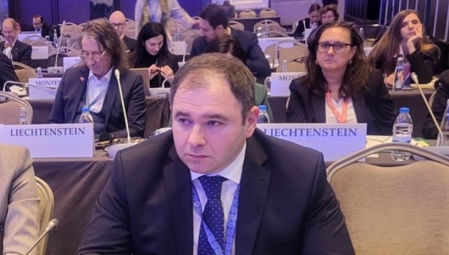 ნიკოლოზ სამხარაძემ ეუთო-ს საპარლამენტო ასამბლეის სესიაზე ოკუპაციის მძიმე შედეგებზე ისაუბრა