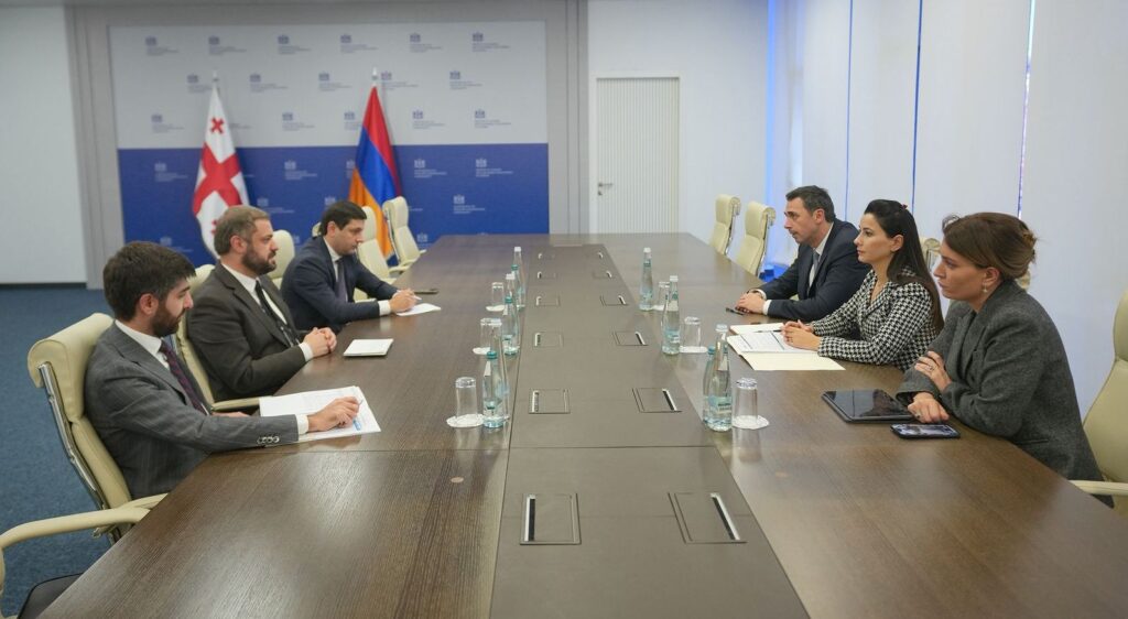 მარიამ ქვრივიშვილი - არსებული სტრატეგიული თანამშრომლობის საფუძველზე, საქართველოსა და სომხეთს შორის ეკონომიკური აქტივობების ზრდას უზრუნველვყოფთ