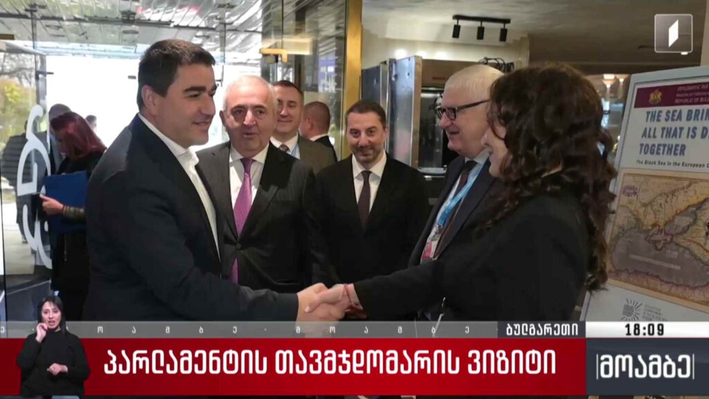 პარლამენტის თავმჯდომარის ვიზიტი