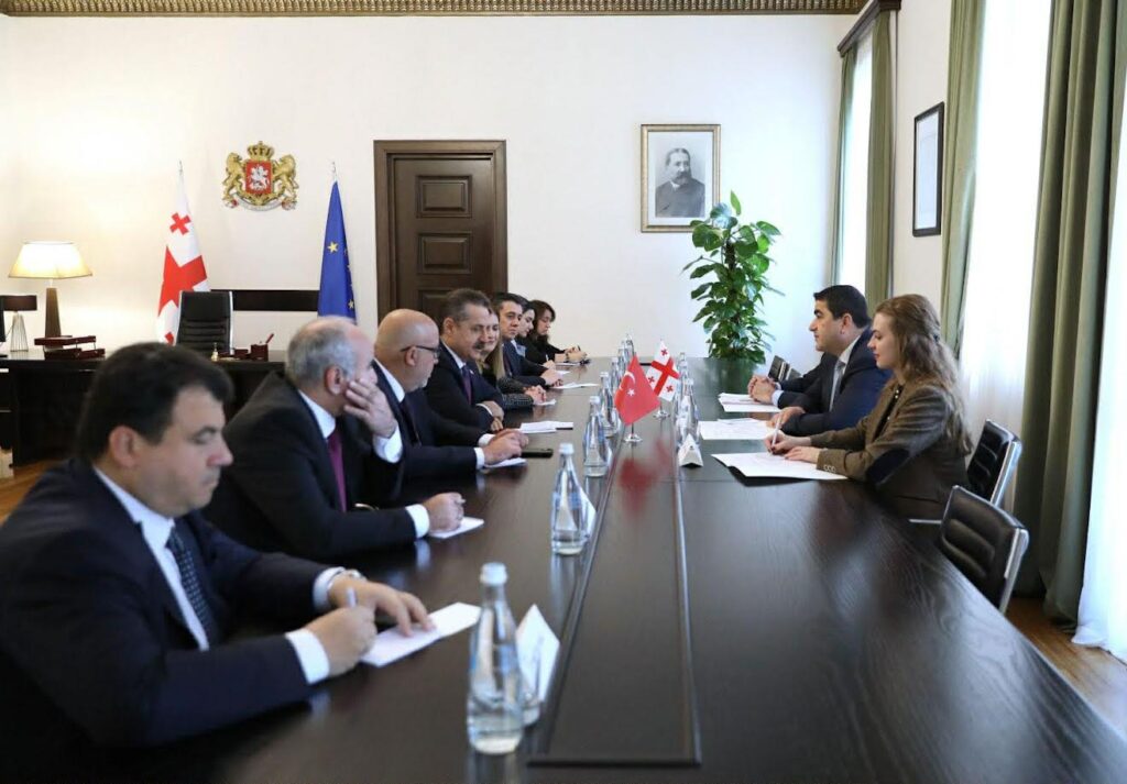 შალვა პაპუაშვილი თურქეთის რესპუბლიკის დიდი ეროვნული ასამბლეის დელეგაციას შეხვდა