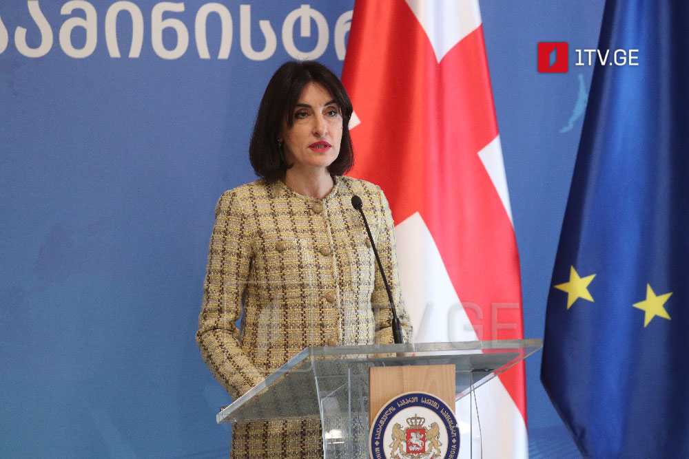 მაკა ბოჭორიშვილი - ხელისუფლება ყველაფერს აკეთებს, რომ ქვეყანას შეუნარჩუნოს სტაბილურობა, ეს არის ის, რაც არის ევროკავშირში გაწევრიანების წინაპირობა