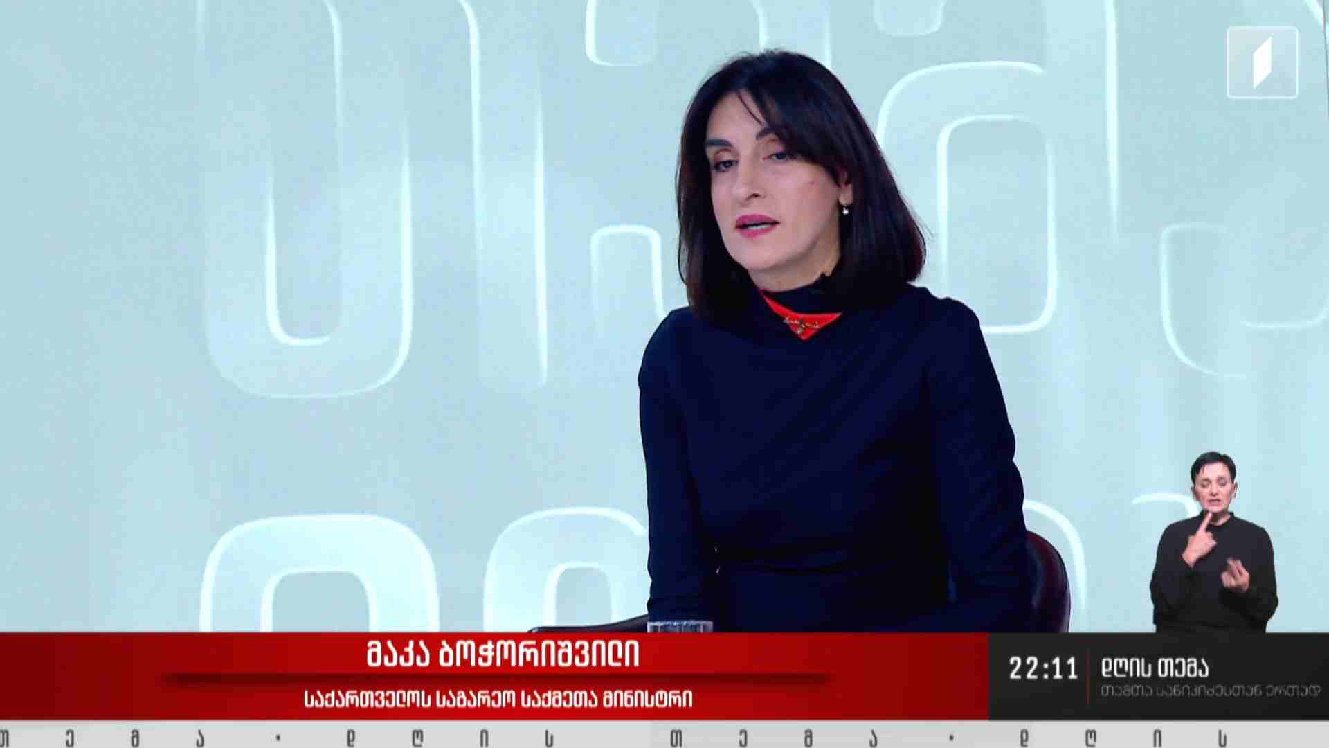 ინტერვიუ საქართველოს საგარეო საქმეთა მინისტრთან