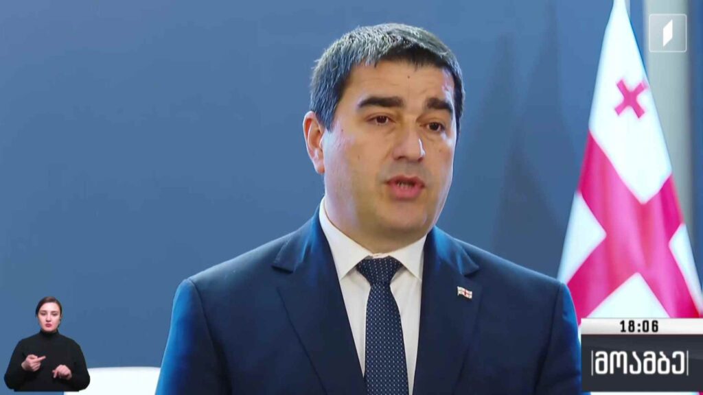 გერმანიის ელჩი საქართველოში მოქმედი კანონების გაუქმების შესახებ – შეფასებები