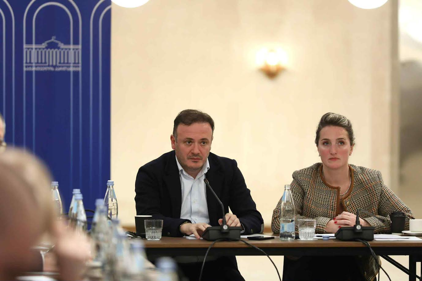 თელავში განათლების, მეცნიერებისა და ახალგაზრდულ საქმეთა და დიასპორის კომიტეტების ერთობლივი სხდომა გაიმართა