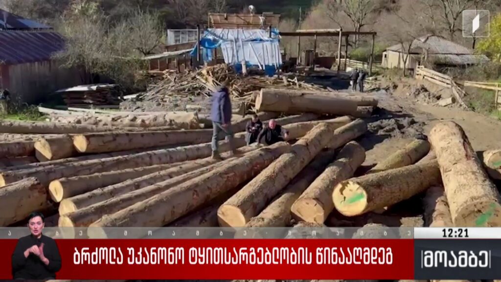ბრძოლა უკანონო ტყით სარგებლობის წინააღმდეგ