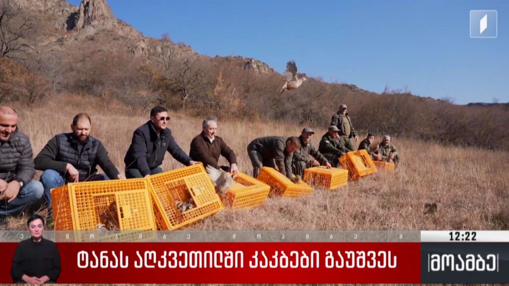 ტანას აღკვეთილში კაკბები გაუშვეს