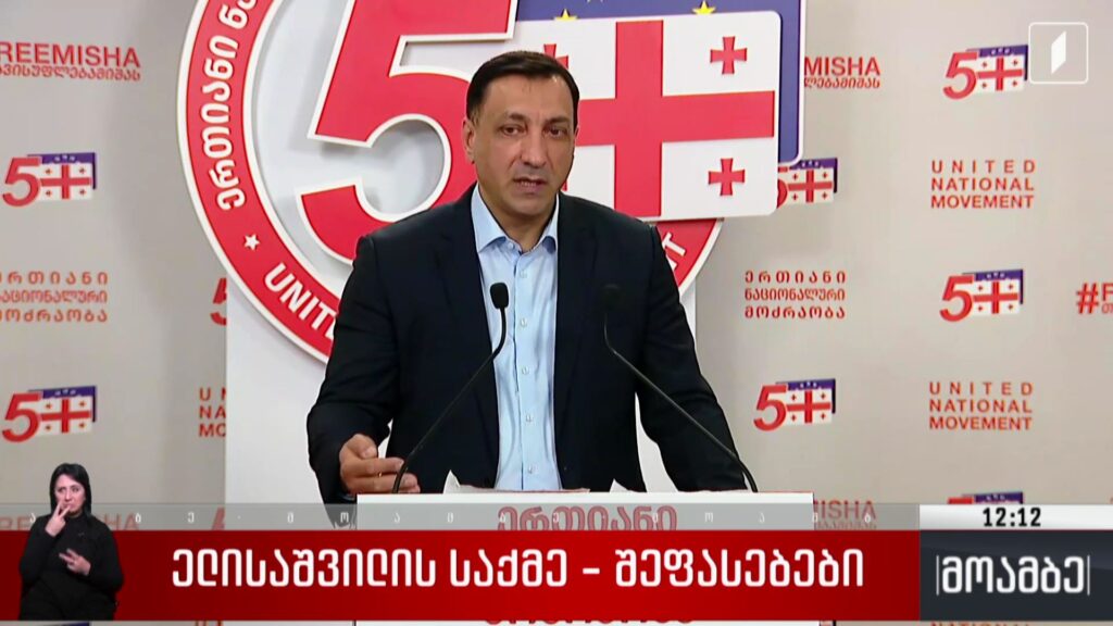 ელისაშვილის საქმე – შეფასებები