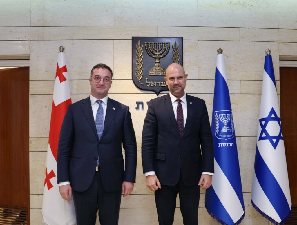 დავით სონღულაშვილი ისრაელის ქნესეთის თავმჯდომარეს შეხვდა