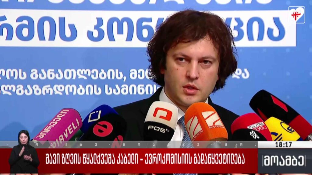 შავი ზღვის წყალქვეშა კაბელის პროექტი – ევროკომისიის გადაწყვეტილება