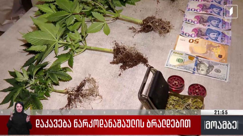 დაკავება ნარკოდანაშაულის ბრალდებით