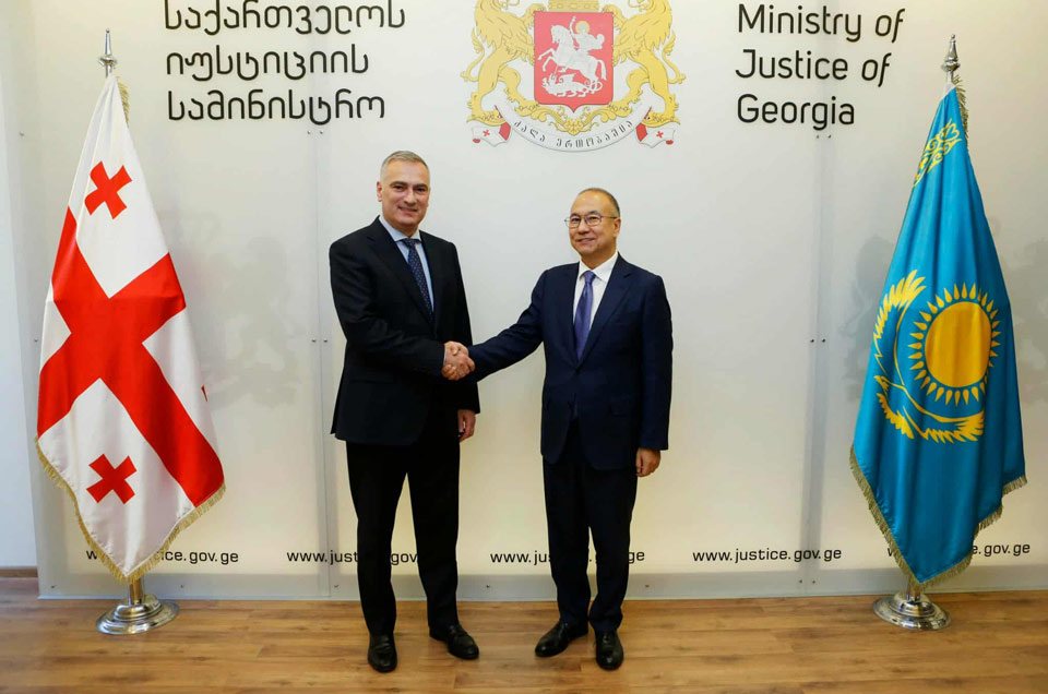 პაატა სალია ყაზახეთის ელჩს შეხვდა