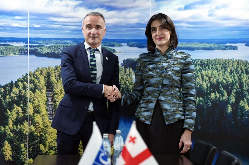 მაკა ბოჭორიშვილი ეუთო-ს საპარლამენტო ასამბლეის პრეზიდენტს შეხვდა