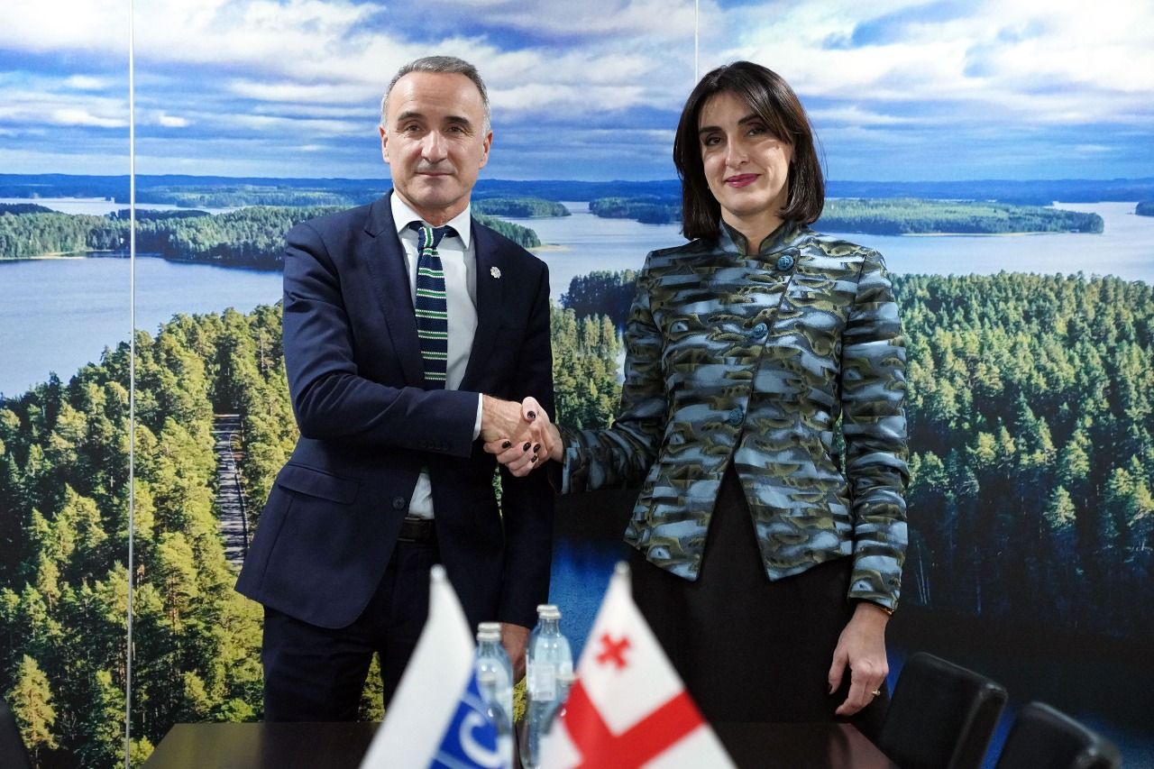 მაკა ბოჭორიშვილი ეუთო-ს საპარლამენტო ასამბლეის პრეზიდენტს შეხვდა