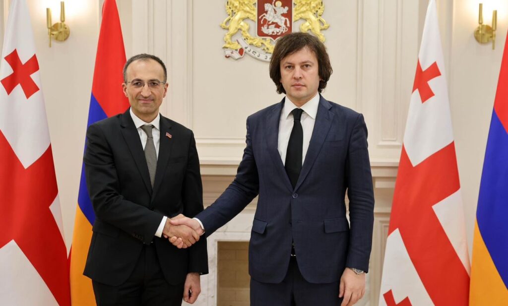 ირაკლი კობახიძე სომხეთის რესპუბლიკის შრომისა და სოციალური დაცვის მინისტრს შეხვდა