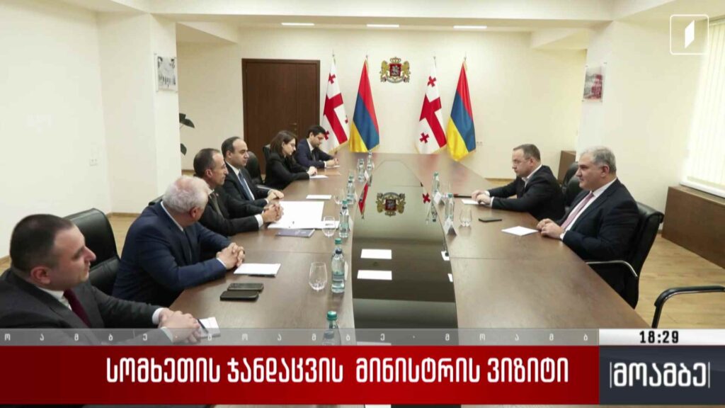 სომხეთის ჯანდაცვის მინისტრის ვიზიტი