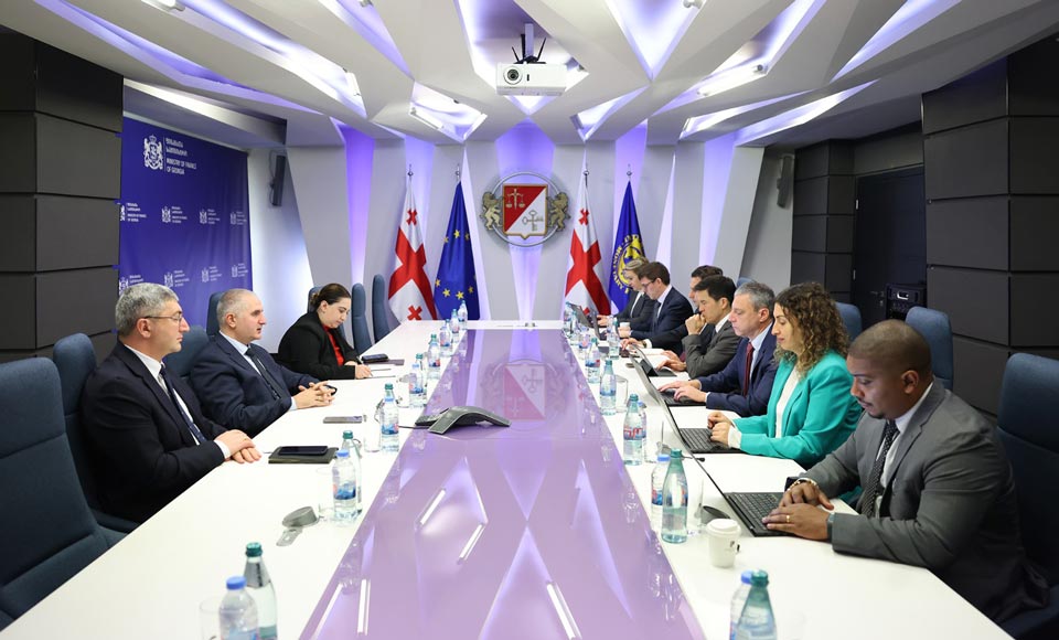 ფინანსთა მინისტრი ლაშა ხუციშვილი საერთაშორისო სავალუტო ფონდის მისიას შეხვდა